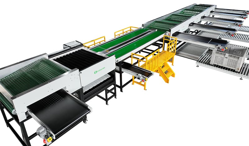 onion sorting grading machine.jpg